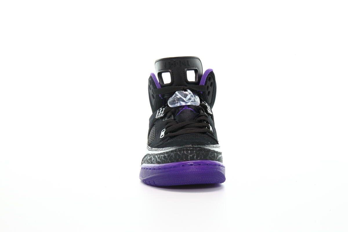 Air Jordan Spizike Black - Image 5