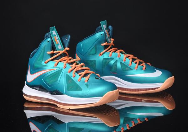 dolphin lebrons