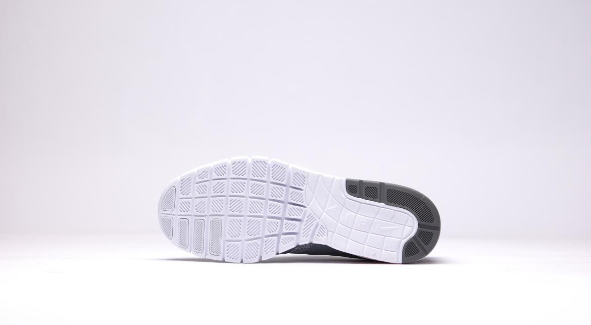 Nike Eric Koston 2 Max "Cool Grey"