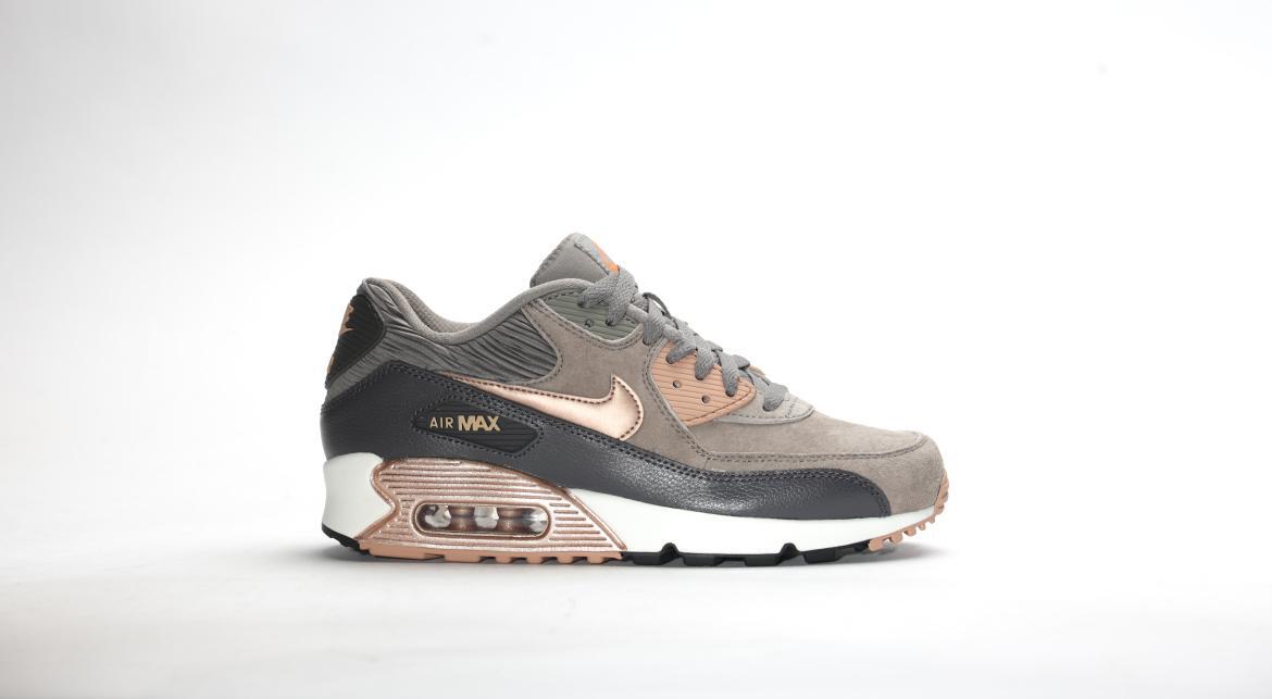 Nike Wmns Air Max 90 "Iron"