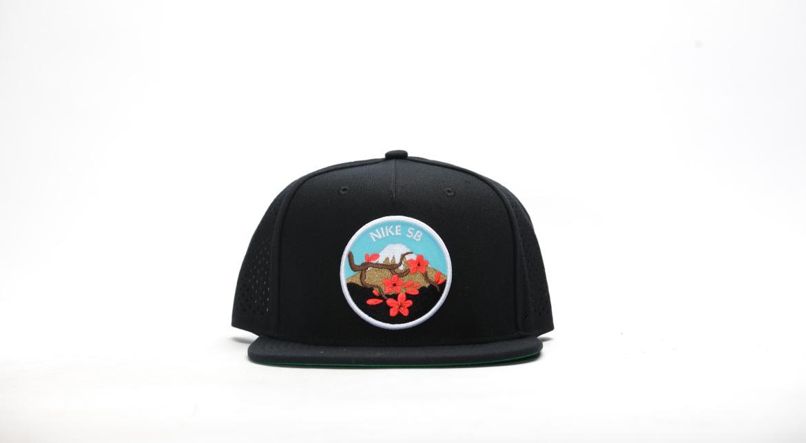 Nike SB Trucker Cap "Cherry Blossom" | 807940-010 AFEW STORE