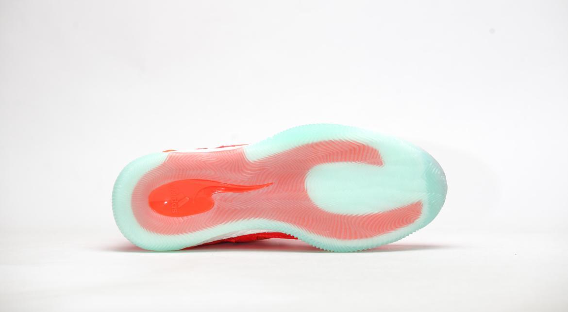 adidas Originals D ROSE 7 Primeknit - Image 6