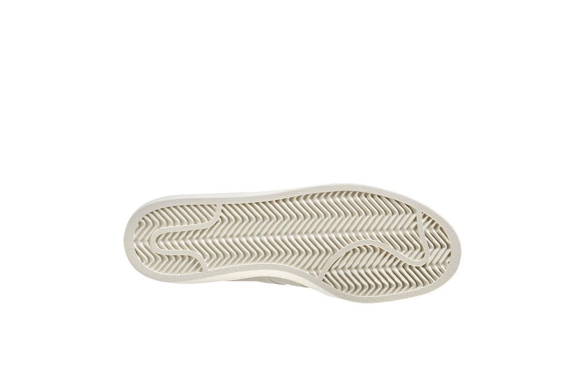 adidas by wings horns campus