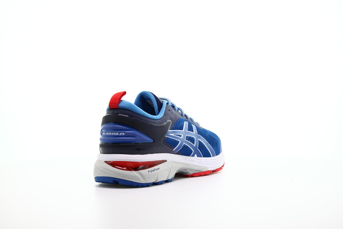 Asics x Mita GEL-KAYANO 25 Trico 