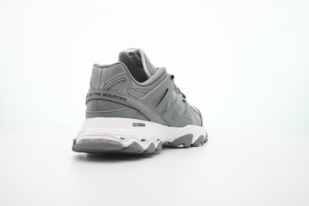 Reebok DMX Trail 'Pure Grey' - Image 12