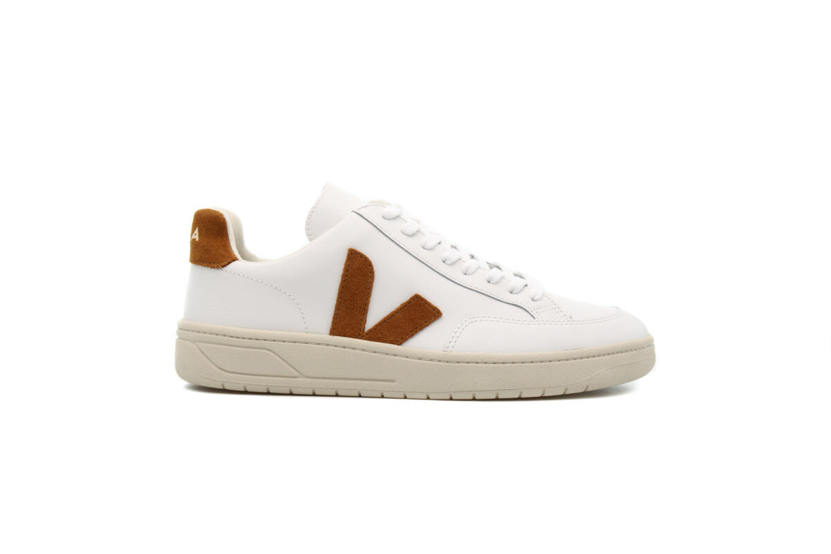 Veja V-12 "Camel" - Image 12