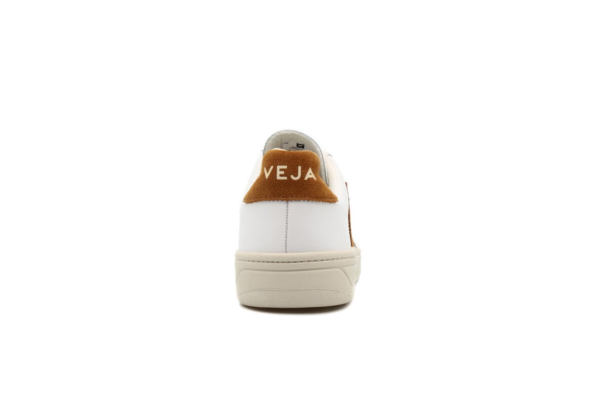 Veja V-12 "Camel" - Image 21