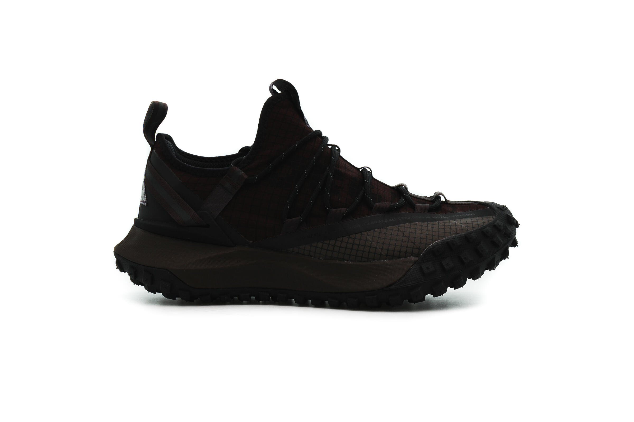 Nike ACG MOUNTAIN FLY LOW