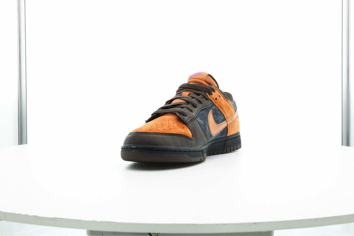 Nike Dunk Low Off Noir/Cider/Dark Chocolate/Wild Berry - Image 6