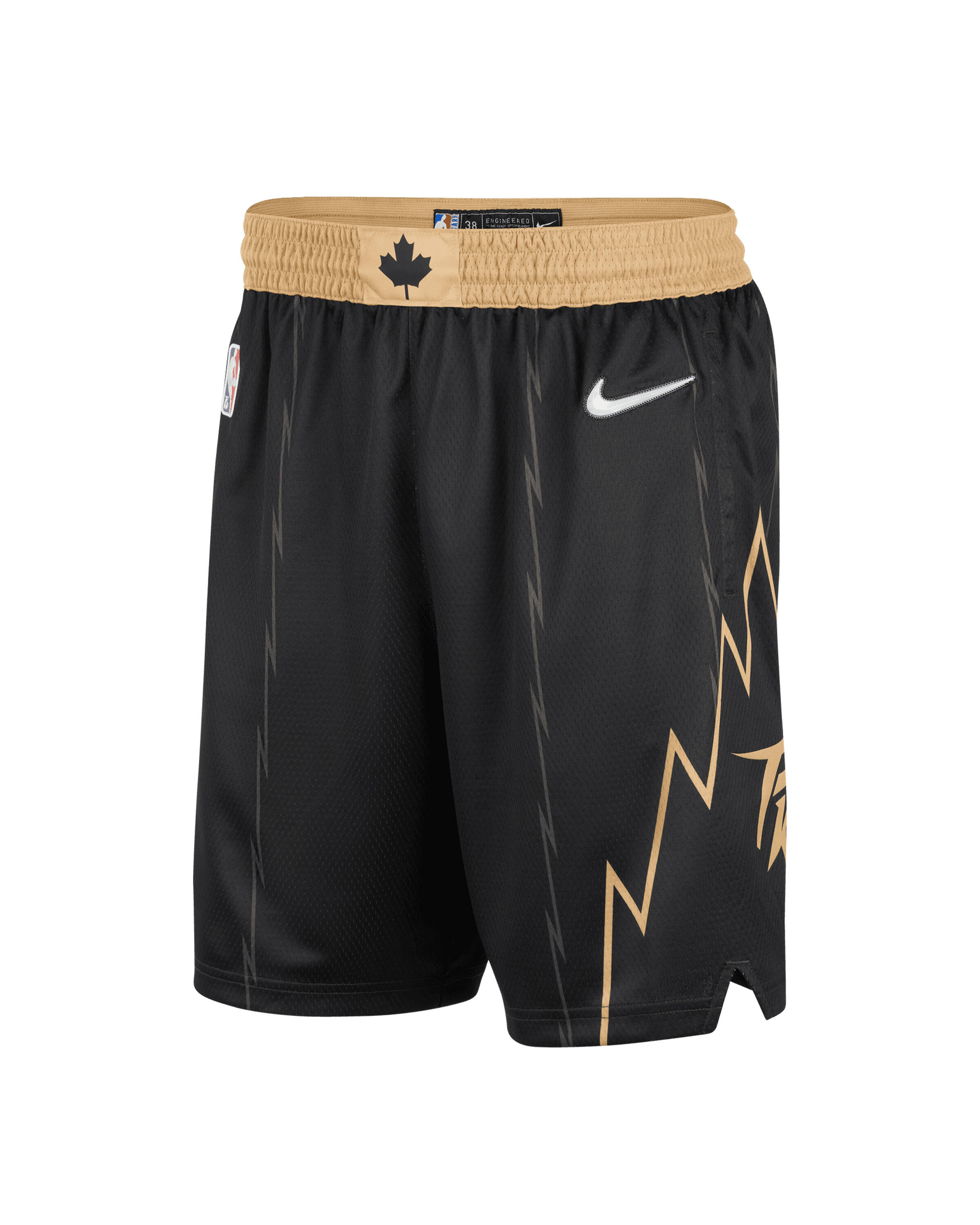 Nike TORONTO RAPTORS SWINGMAN SHORTS CITY EDITION 21