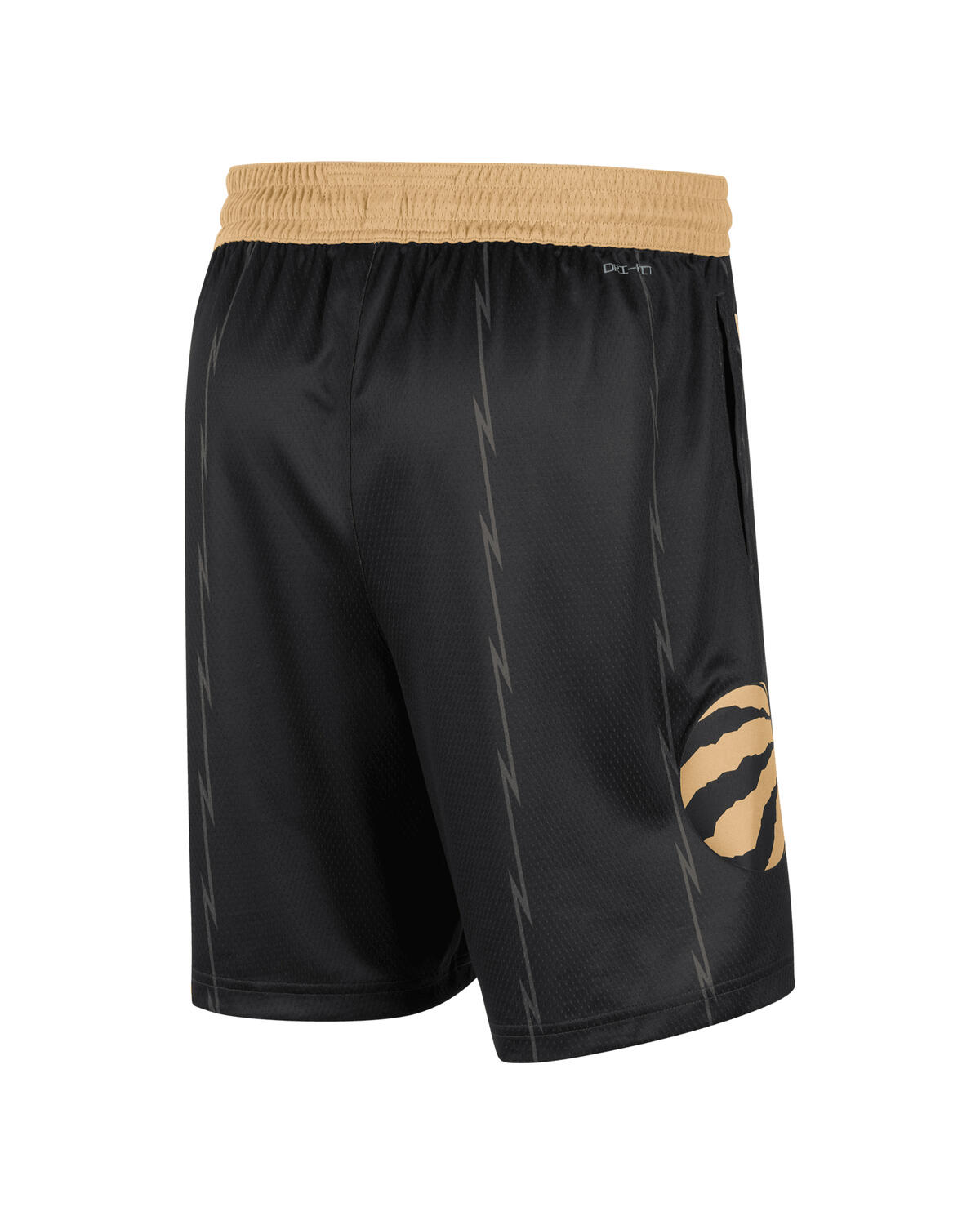 Nike Toronto Raptors Swingman Shorts - Image 3
