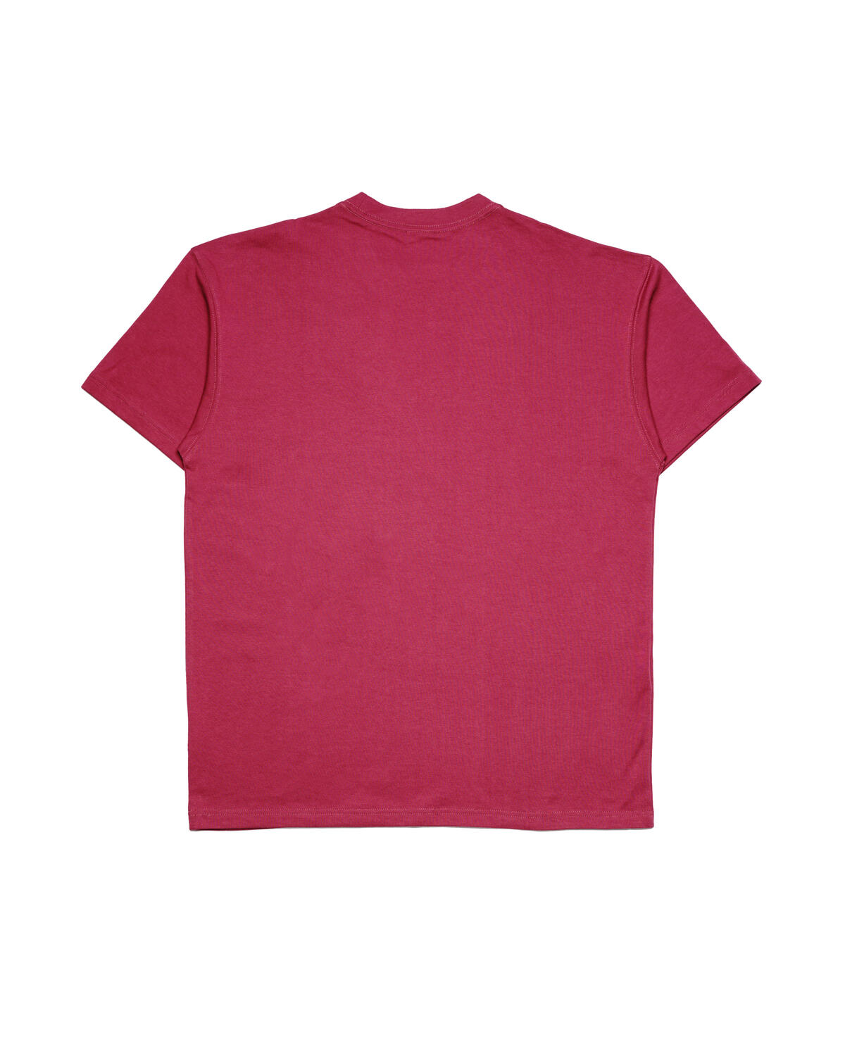 Nike ACG Lungs T-Shirt Rosewood / Rush Fuchsia / Summit White - Image 3