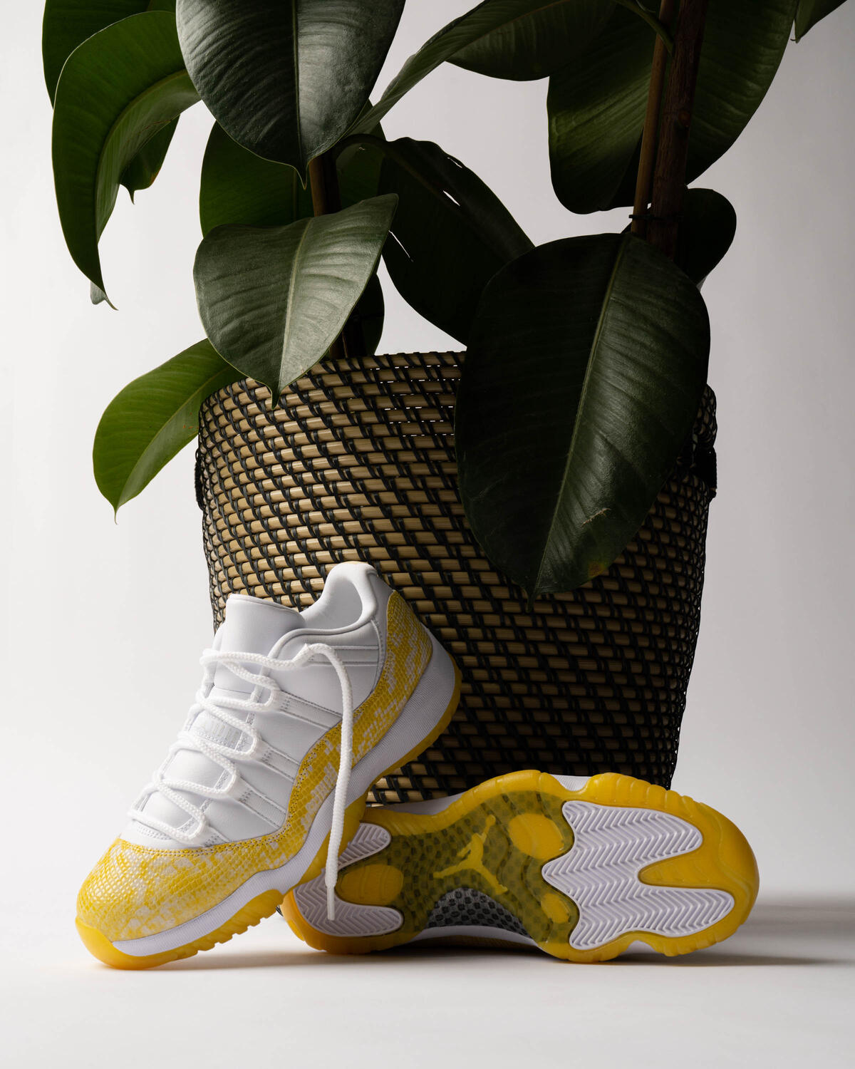 Jordan Air Jordan 11 Retro Low 'Yellow Snakeskin' (Women's) - Image 27
