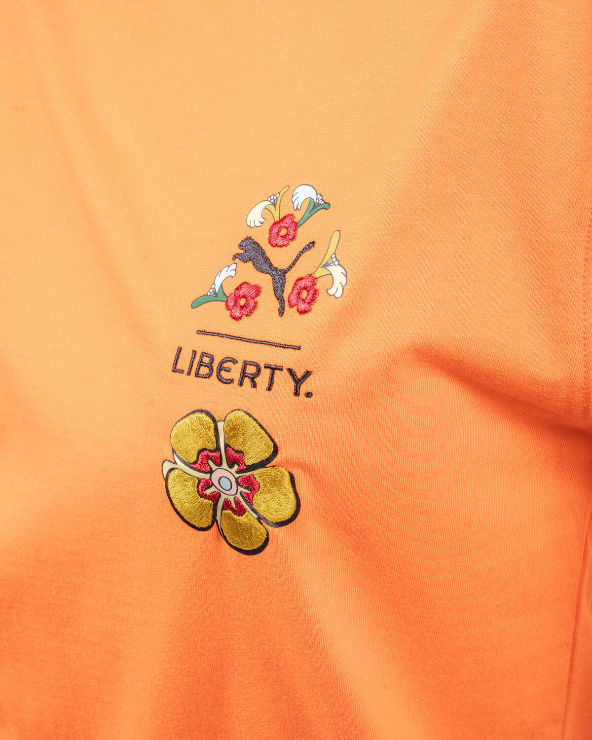 Puma X Liberty Graphic Tee - Image 6