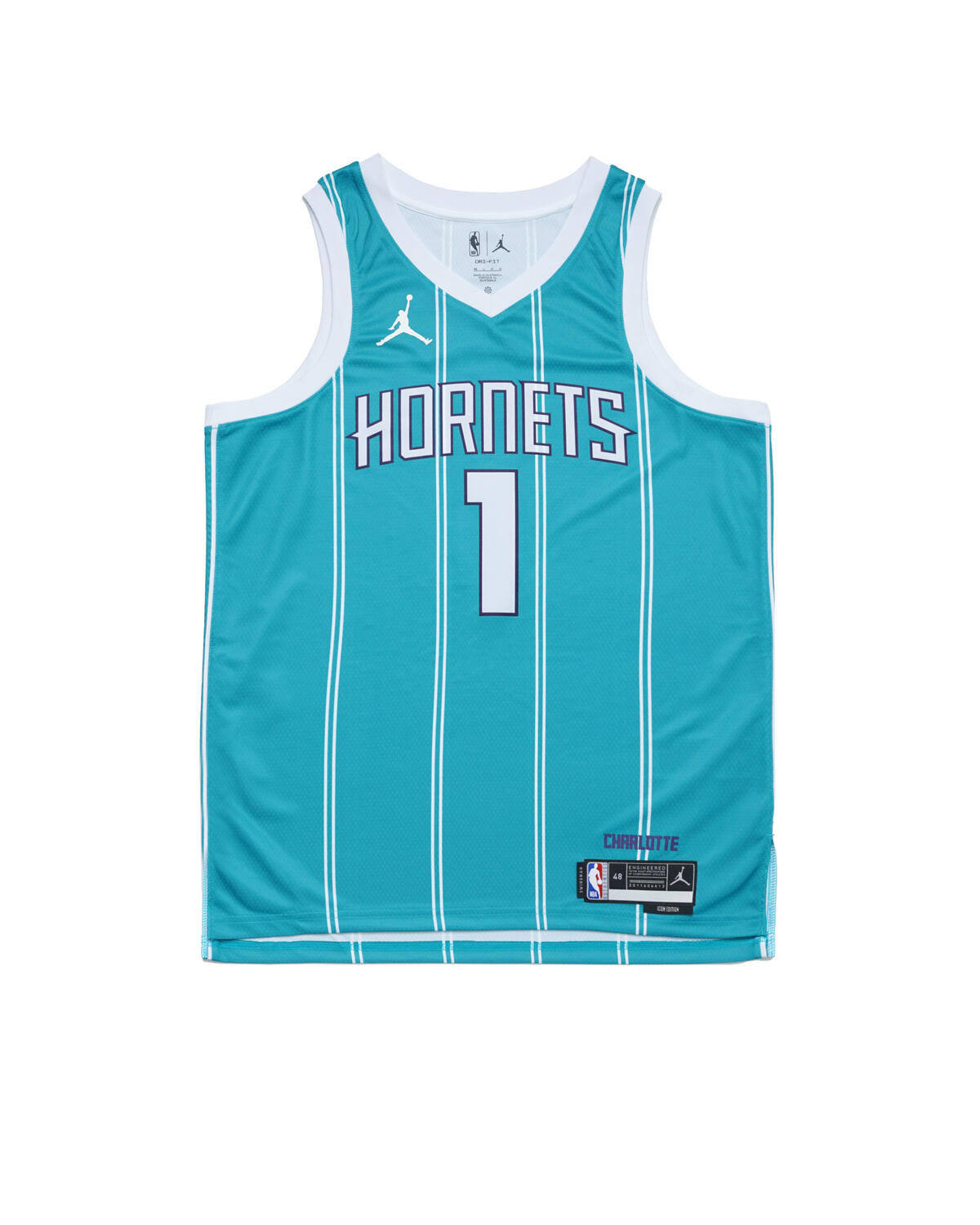 Nike CHARLOTTE HORNETS JERSEY Lamelo Ball ICON EDITION, DN1998-415