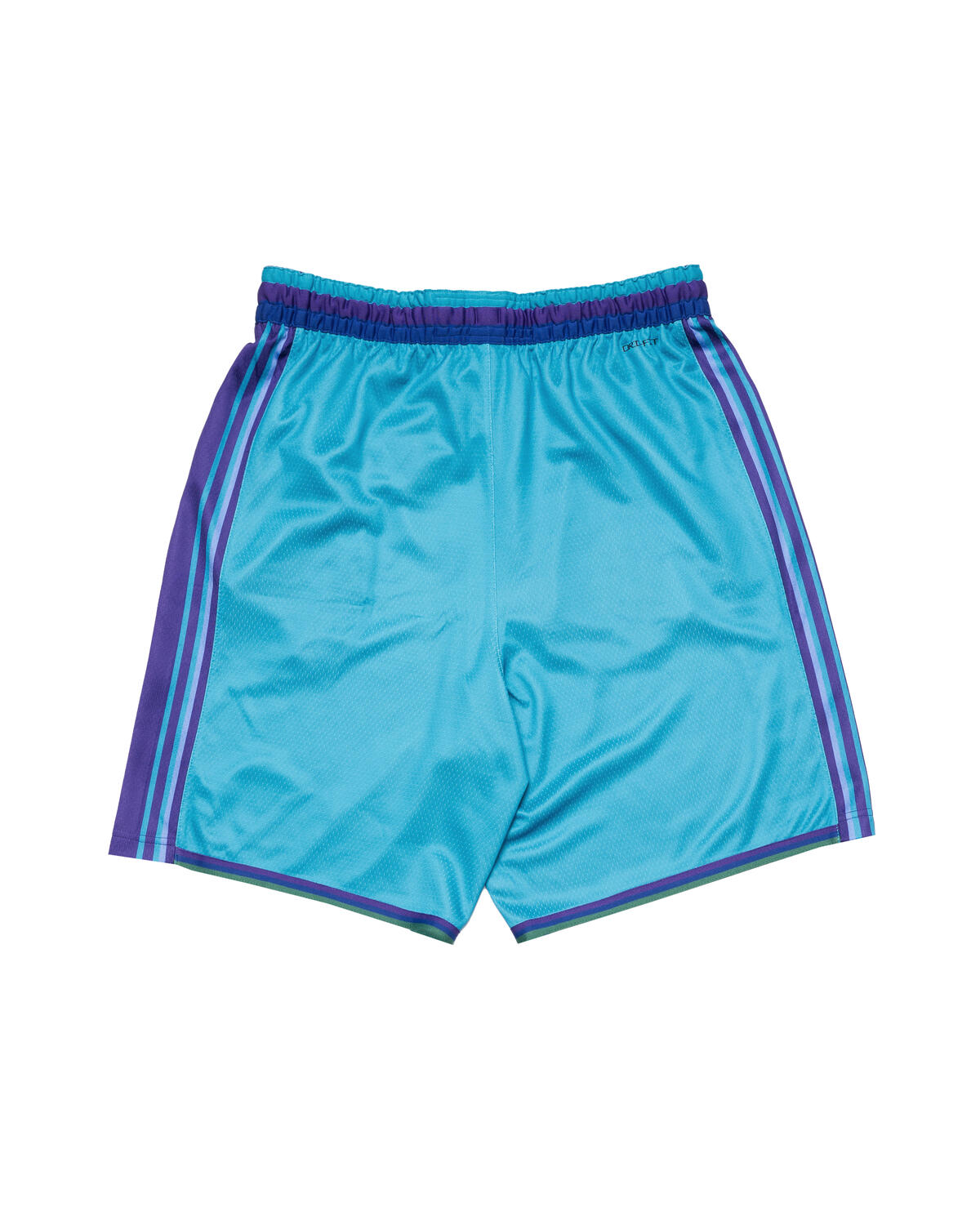 Nike Charlotte Hornets Hardwood Classics Shorts - Image 3
