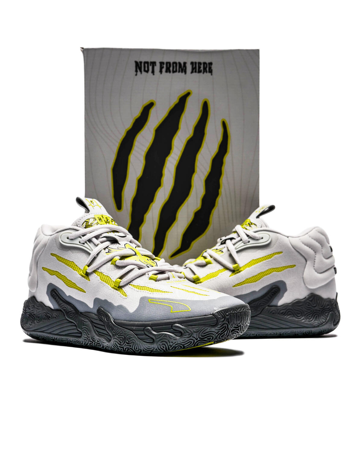 Puma MB.03 "Chino Hills" - Image 9