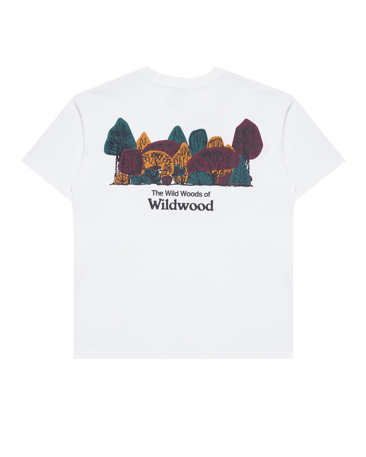 Nike ACG Wildwood T-Shirt - Summit White - Image 3