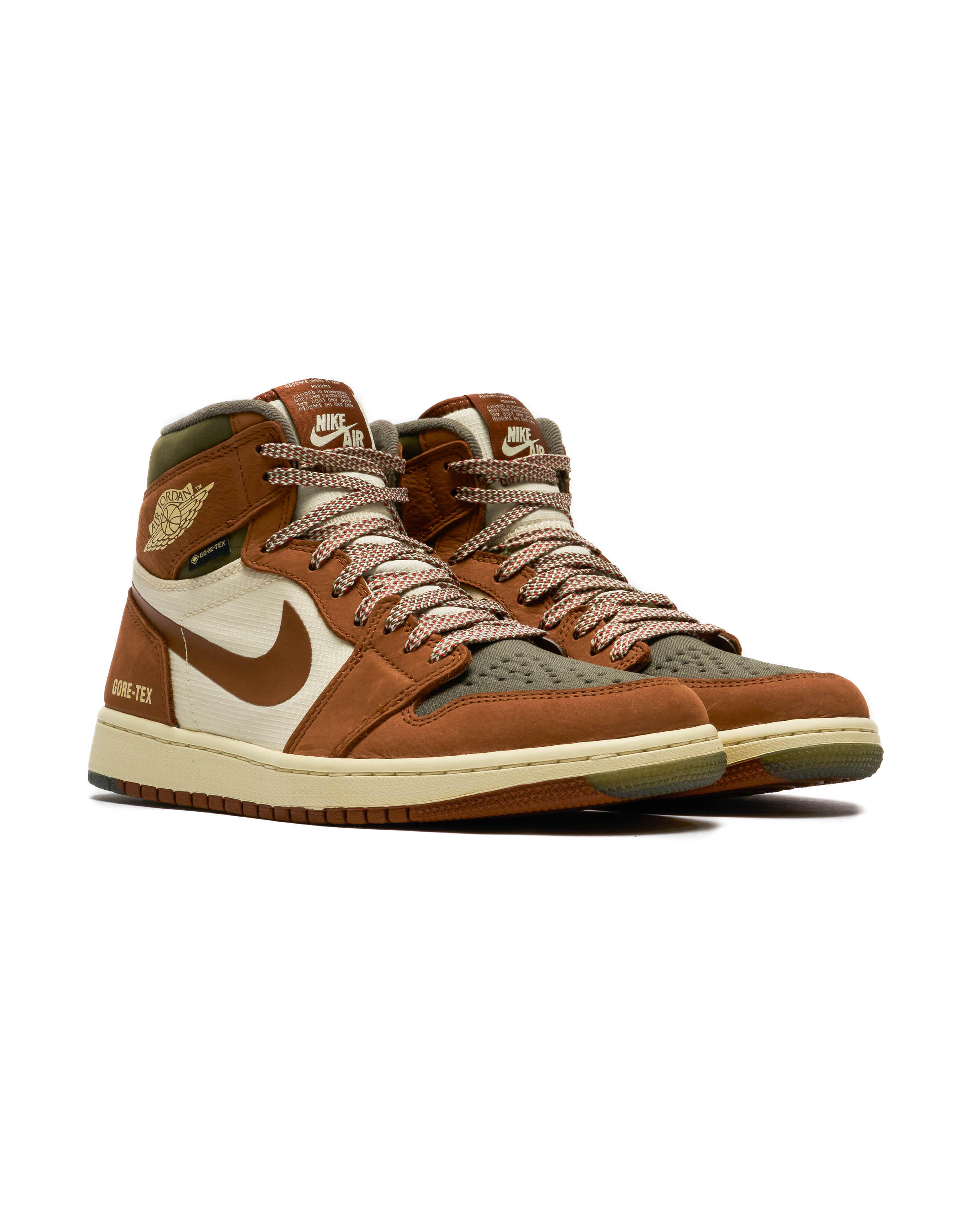 Air Jordan 1 High Element Gore-Tex \