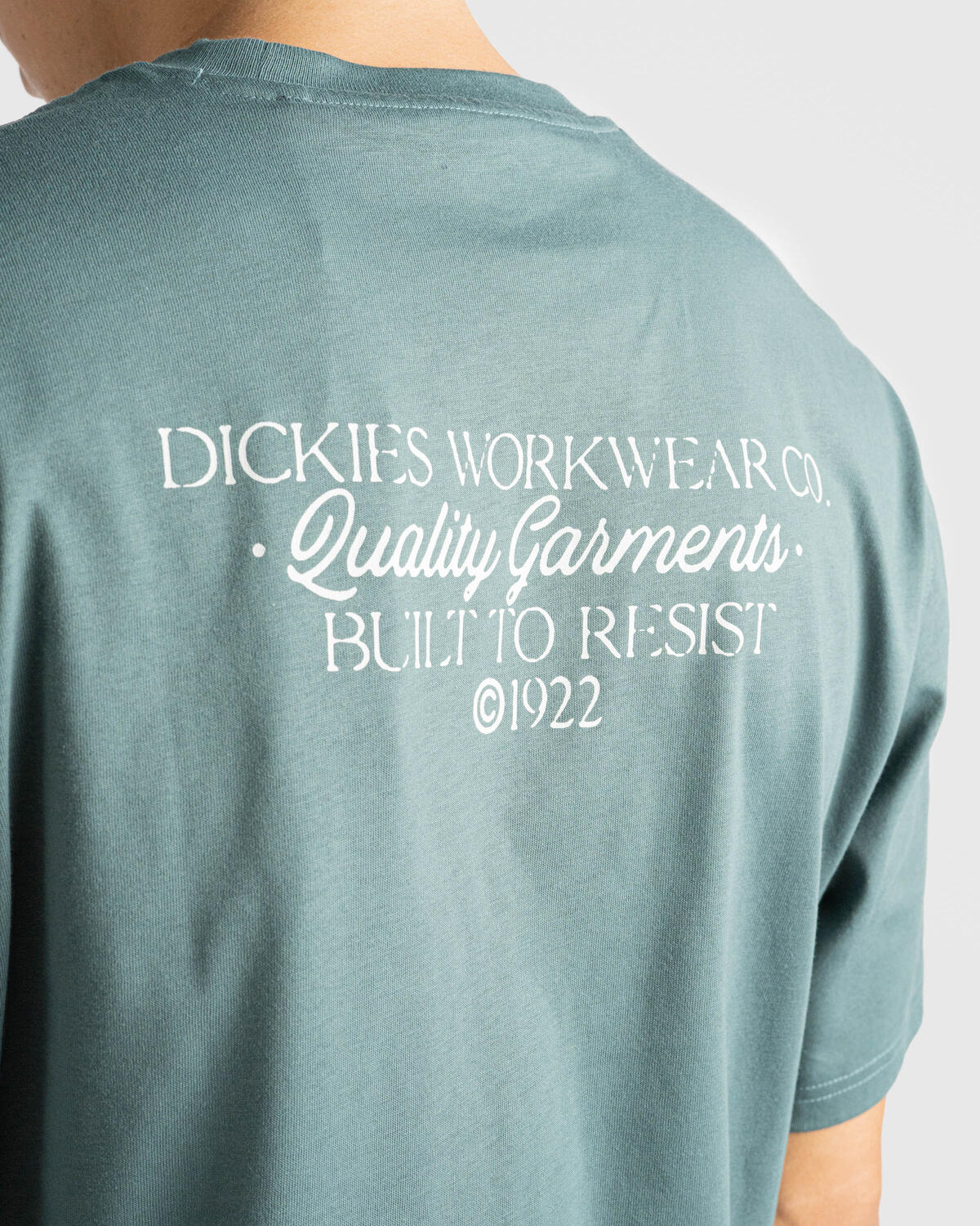 Dickies Globe Tee - Image 7