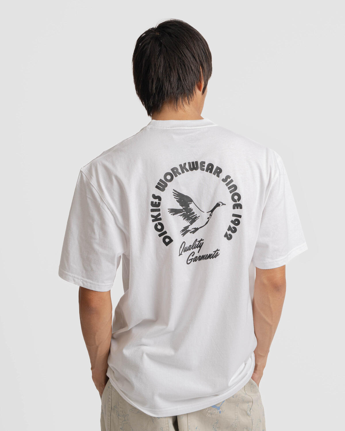 Dickies Goose Tee - Image 6