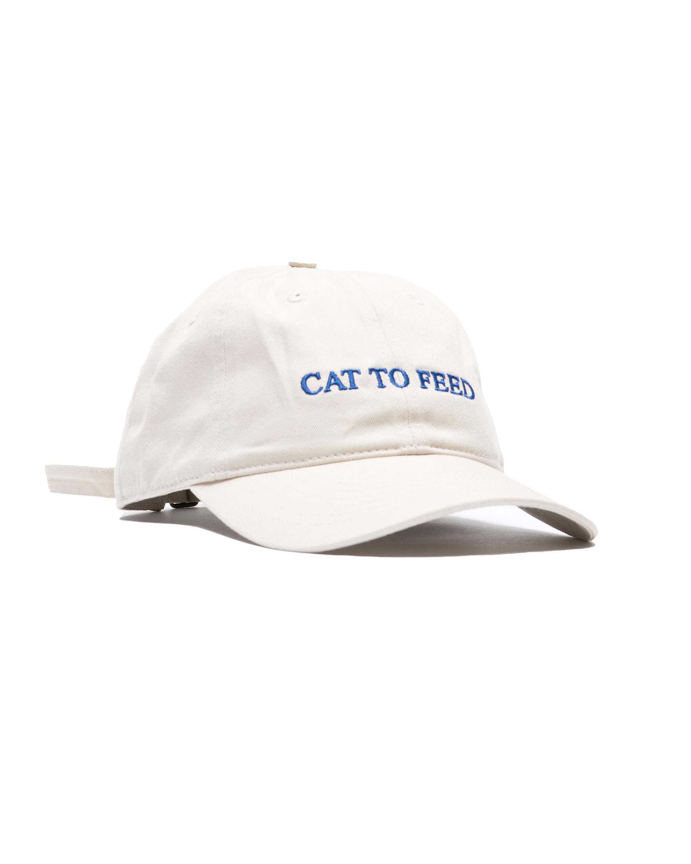 IDEA CAT TO FEED HAT