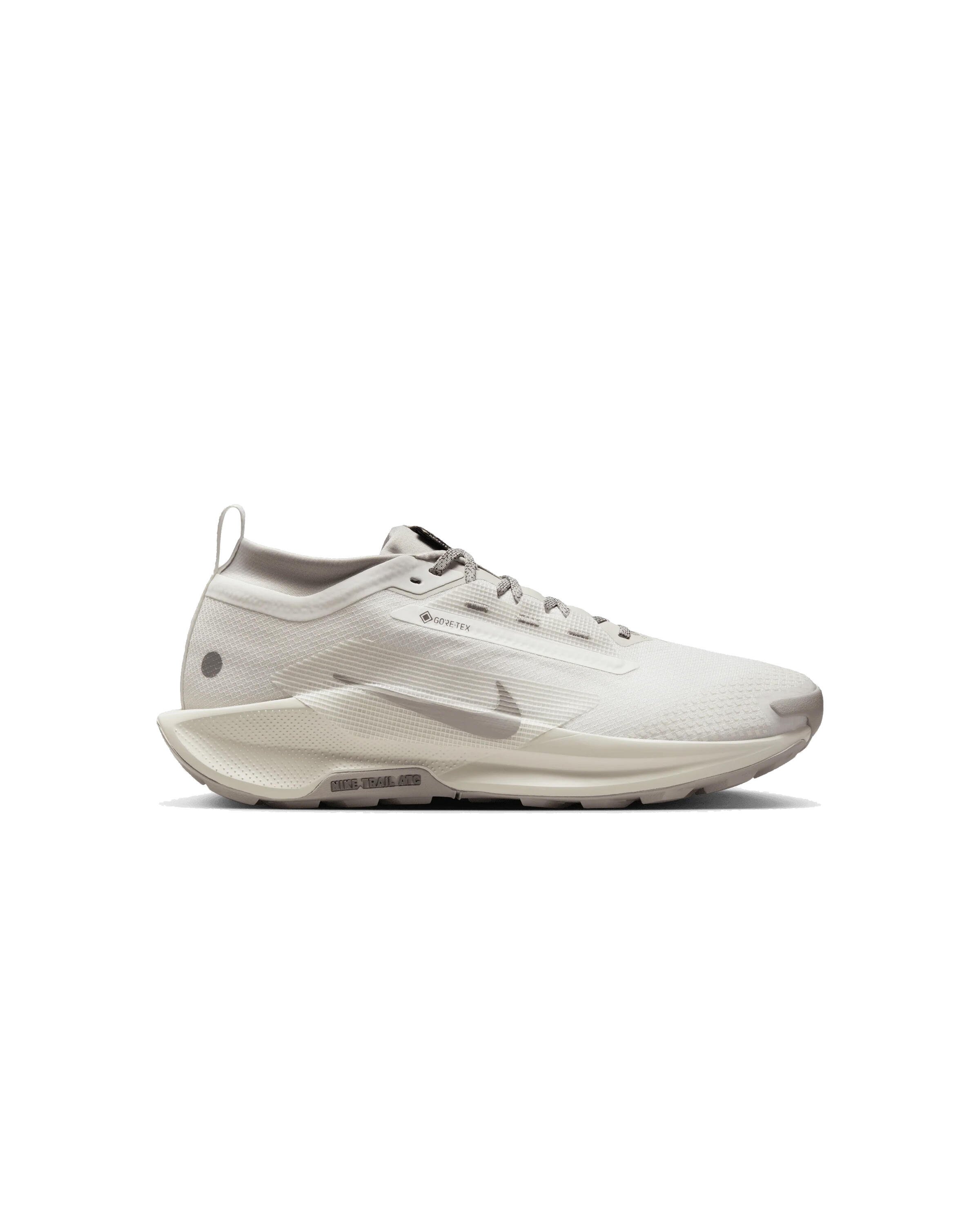Nike REACTX PEGASUS TRAIL 5 GORE-TEX SP