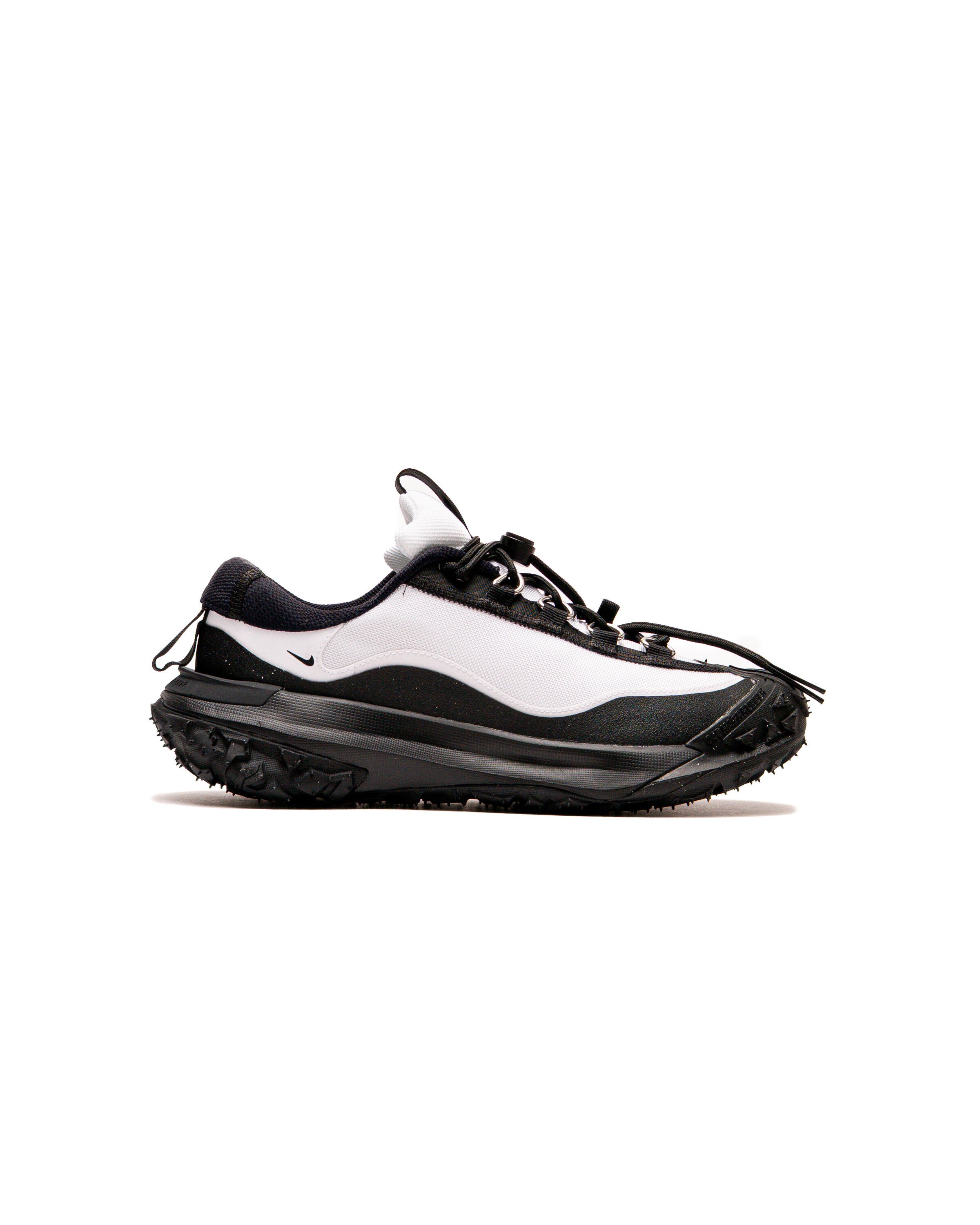 Nike ACG Mountain Fly 2 low
