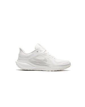 Nike AIR ZOOM PEGASUS 41 Gore-Tex