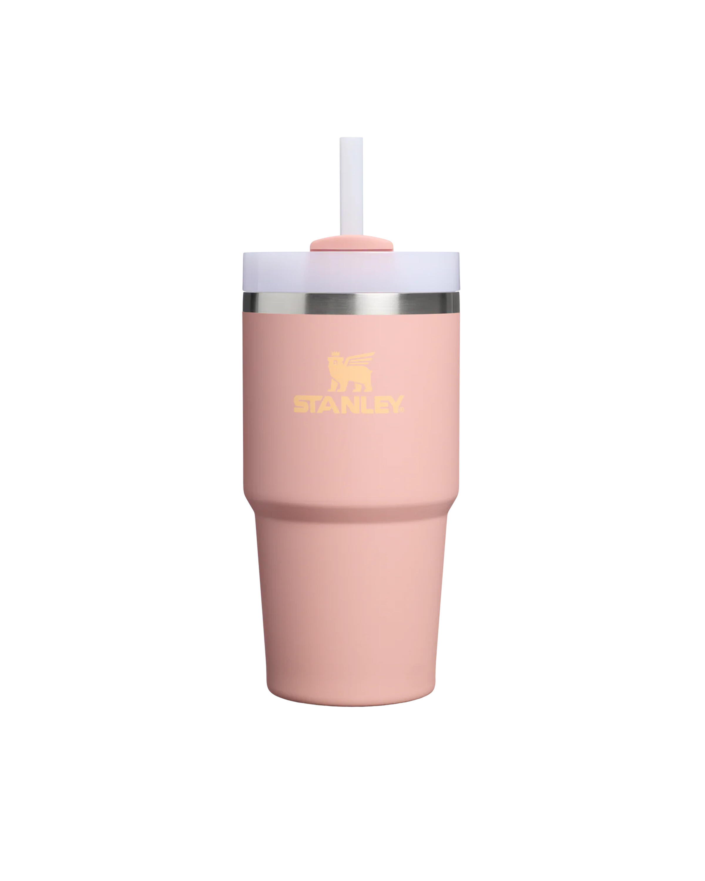 Stanley 1913 The Quencher H2.0 FlowState Tumbler 20 oz 0.59 L