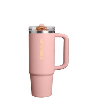 Stanley 1913 The Quencher ProTour Flip Straw Tumbler 30 oz / 0.89 L