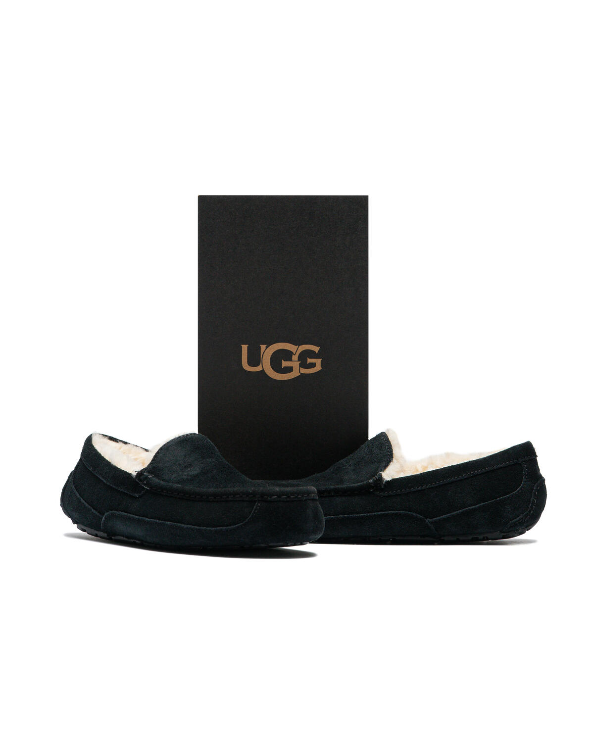 UGG ASCOT - Image 6