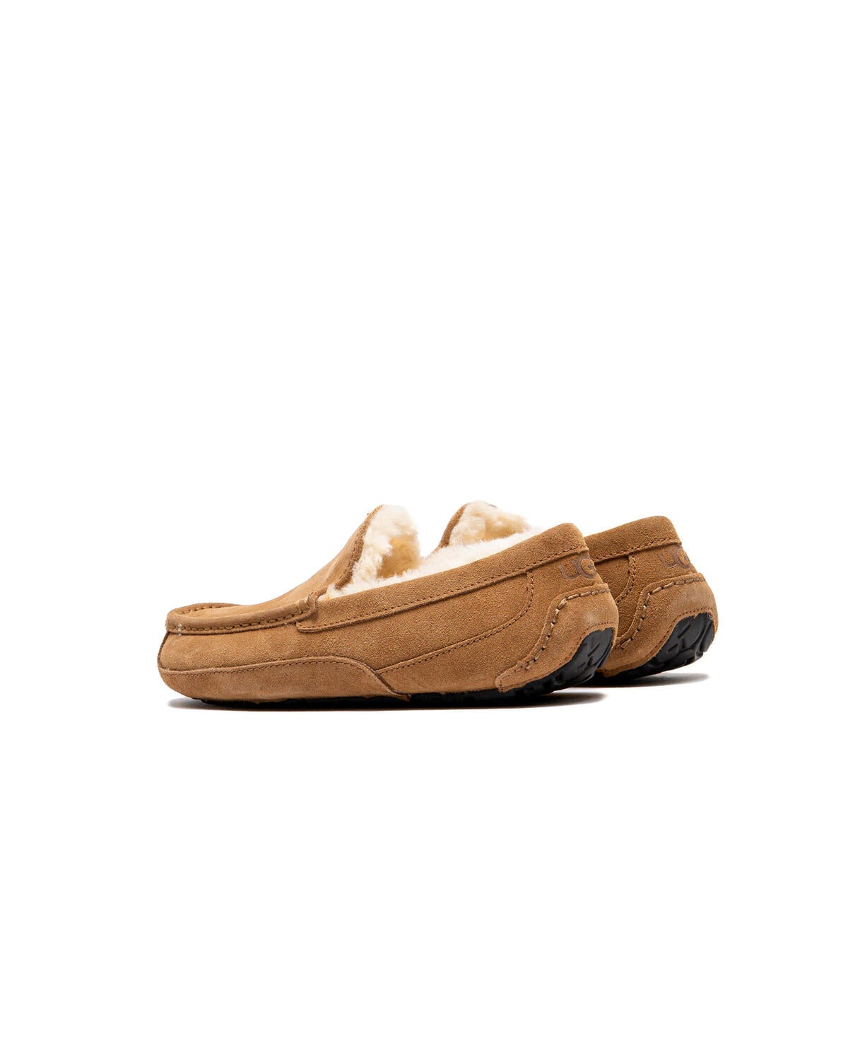 UGG ASCOT | 1101110-CHE | AFEW STORE