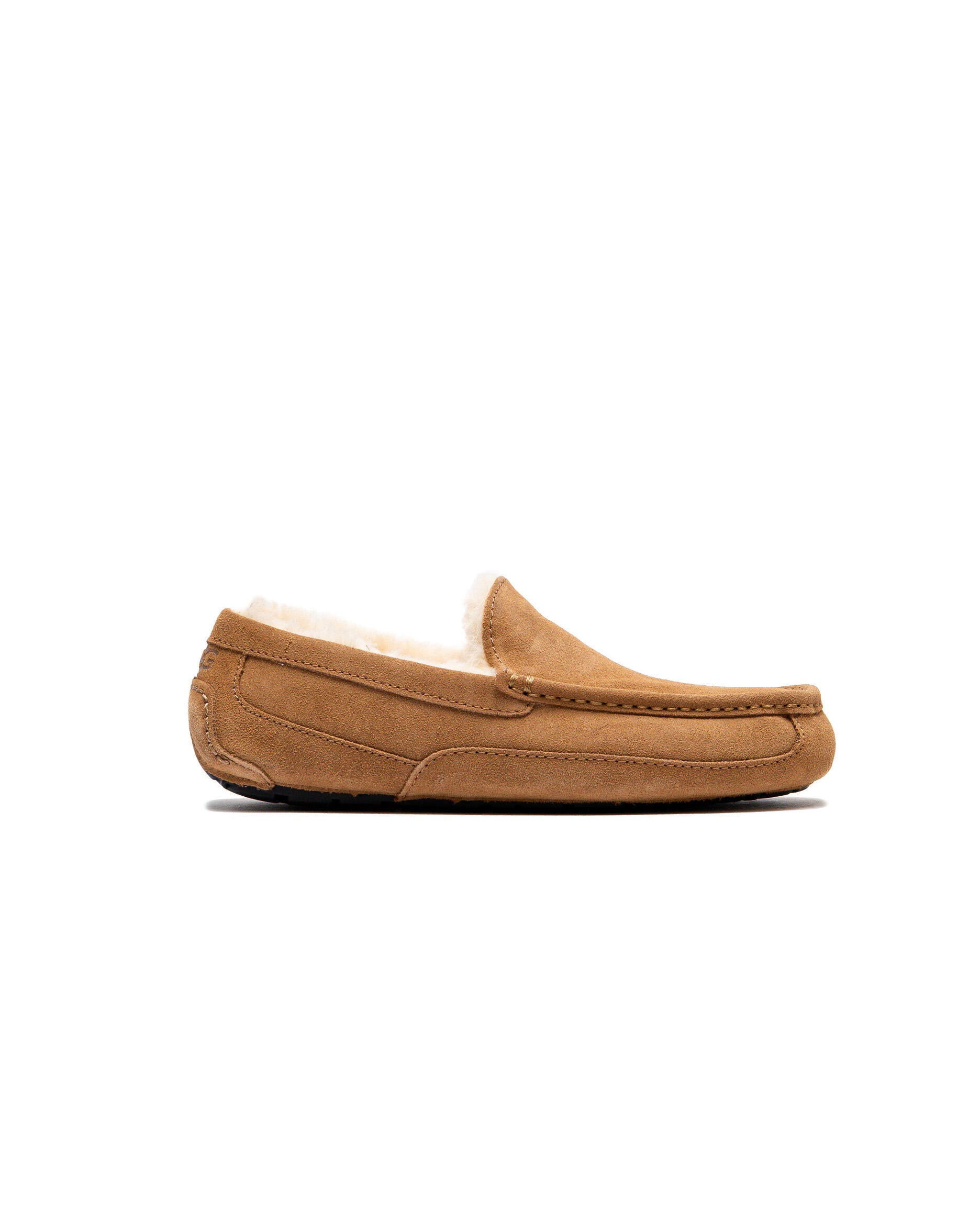 UGG ASCOT