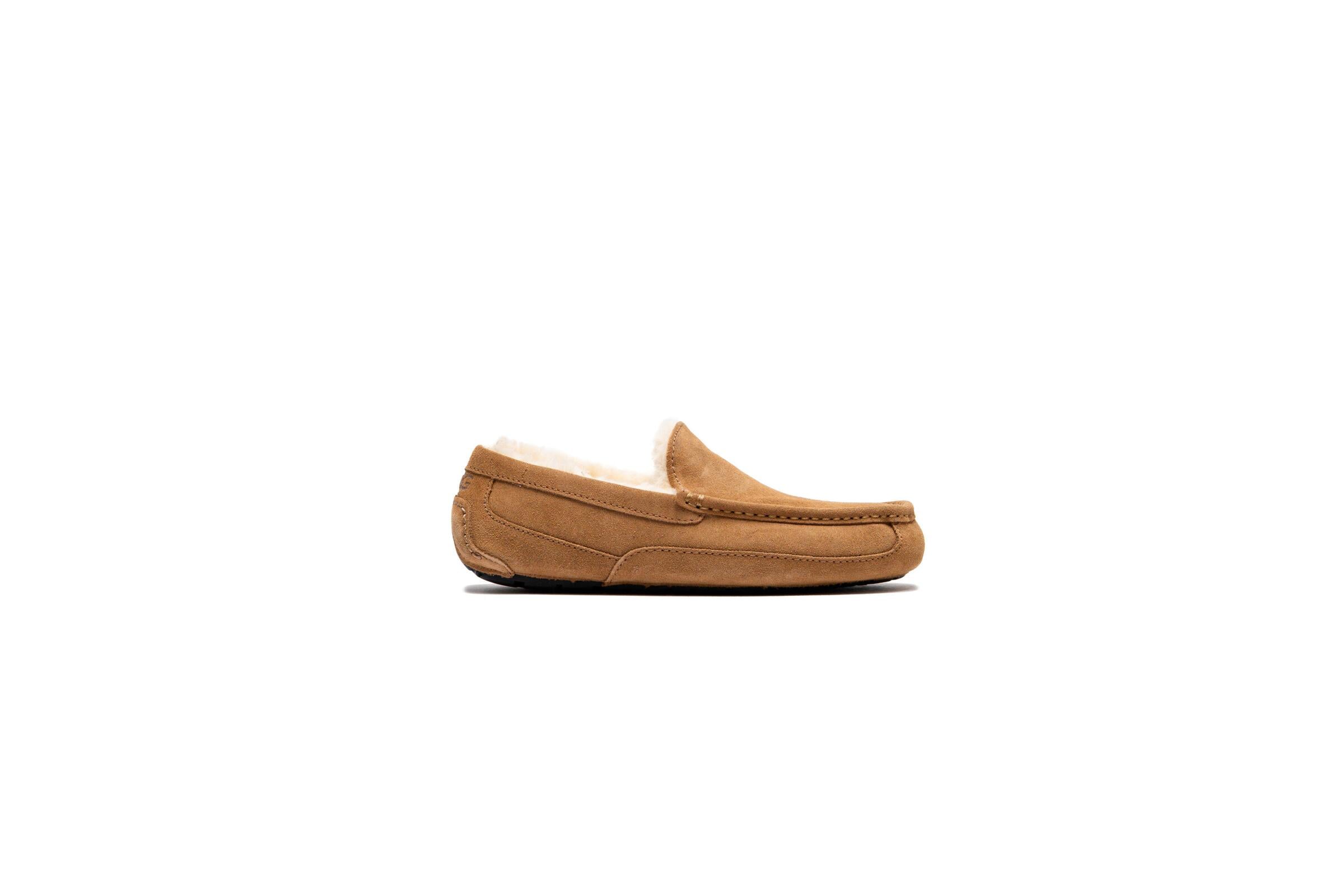 UGG ASCOT