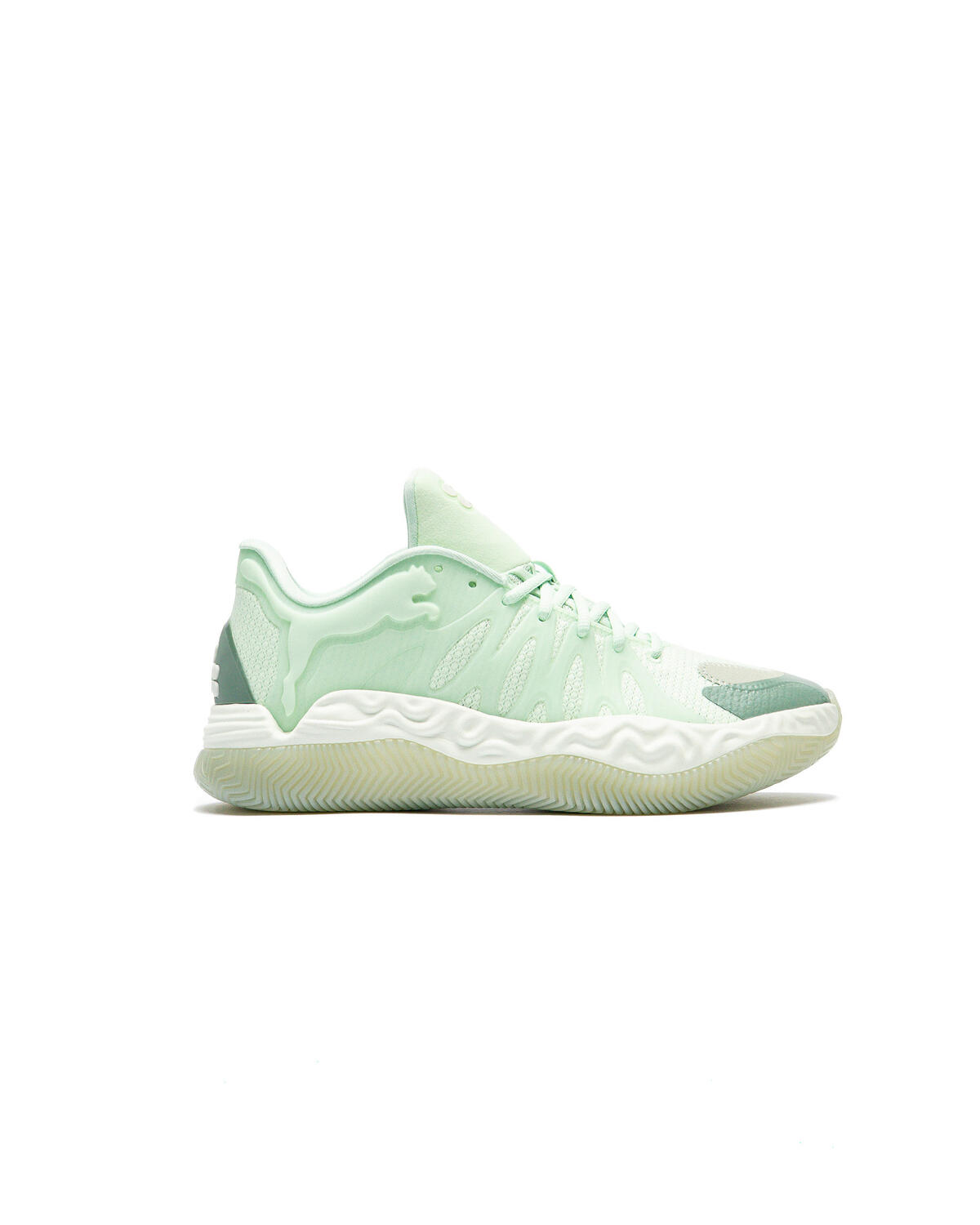Puma Hali 1 - Image 1